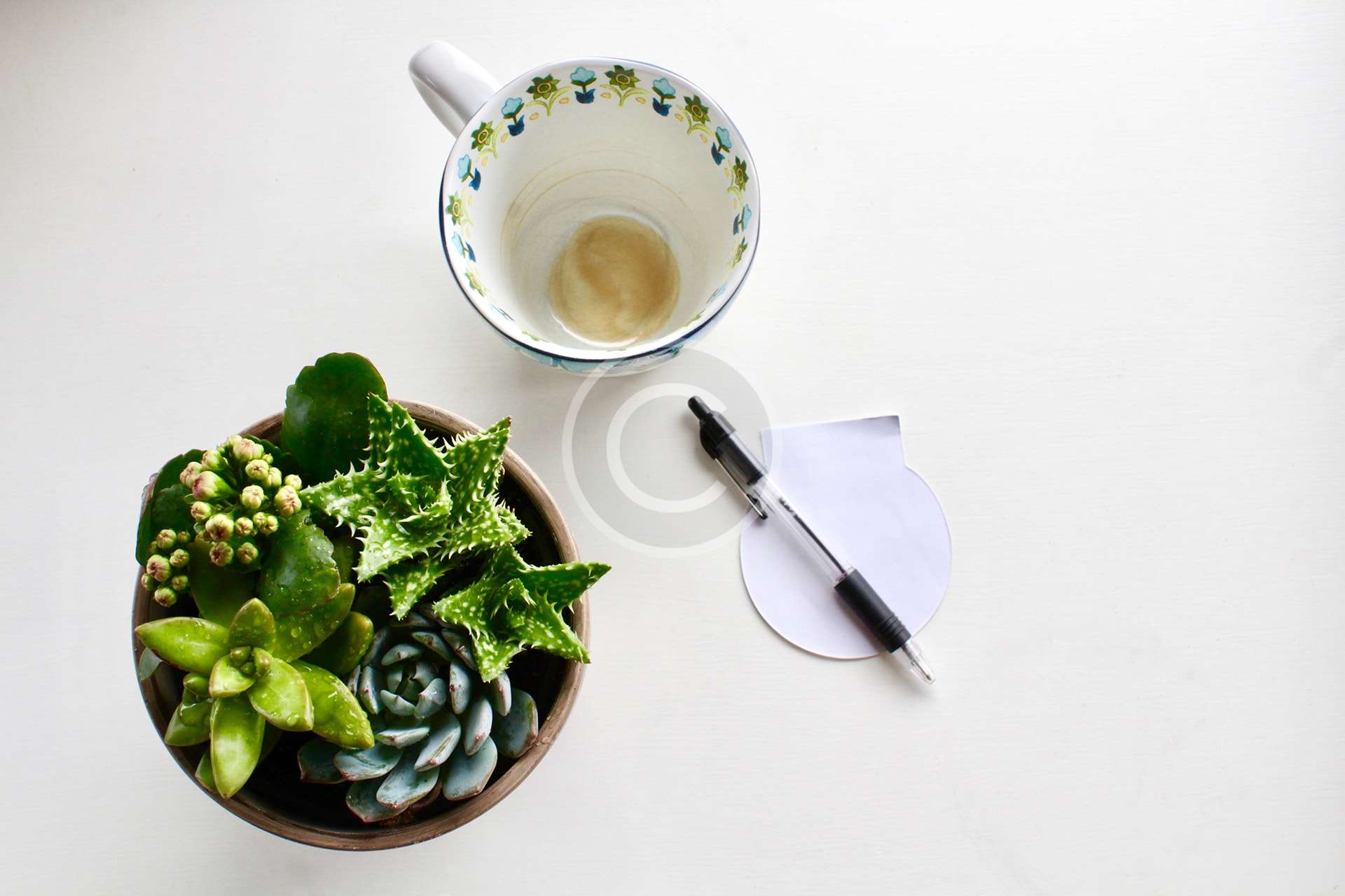 Finding gifts at our holiday open studio